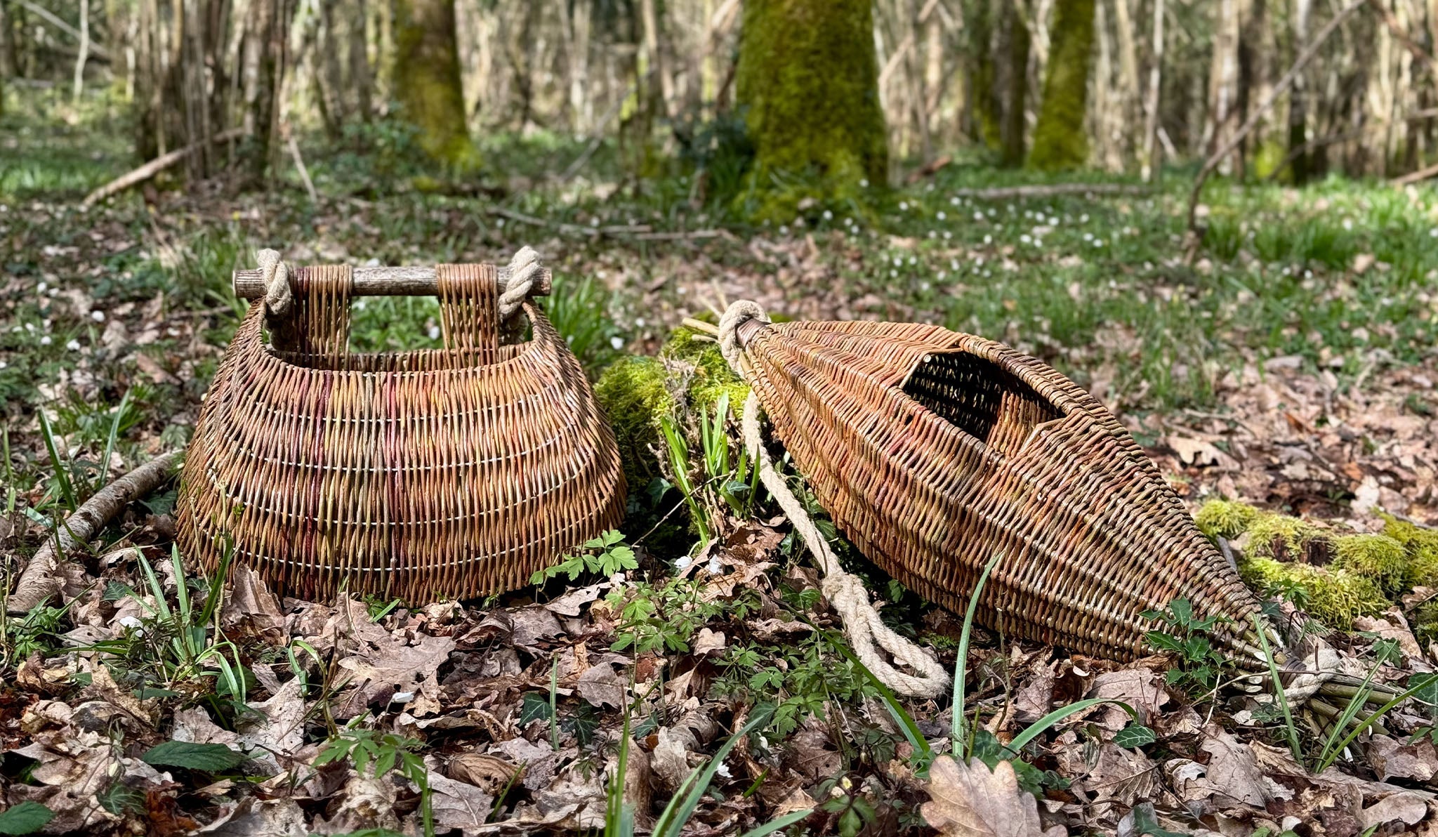 Guernsey Willow Baskets made by Claire Gaudion. Ponier a cou fishing baskets and Guernsey Courge pictured in woodland.