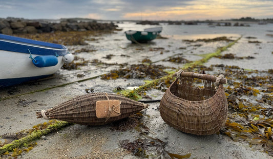 Courge and ponier à cou on beach amongst fishing boats and seaweed covered mooring ropes at low tide.