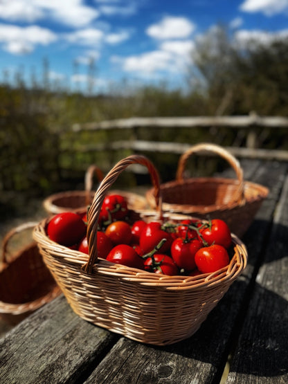 Guernsey Tomato Basket