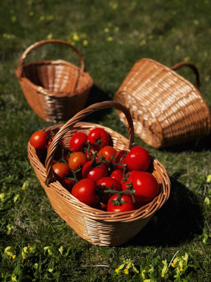Guernsey Tomato Basket